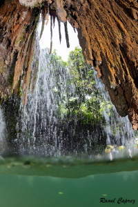 Roots behind the waterfall by Raoul Caprez 